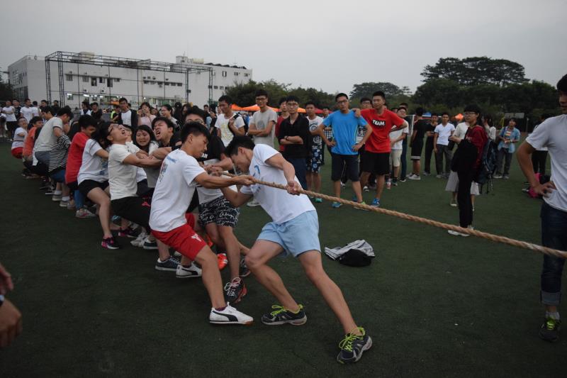 电智学院